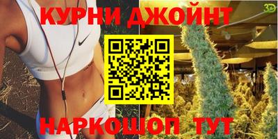стафф Славгород