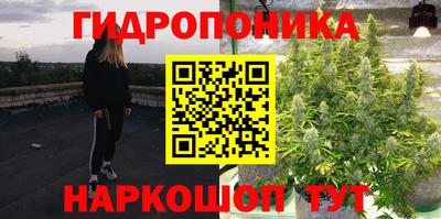 jwh Сланцы