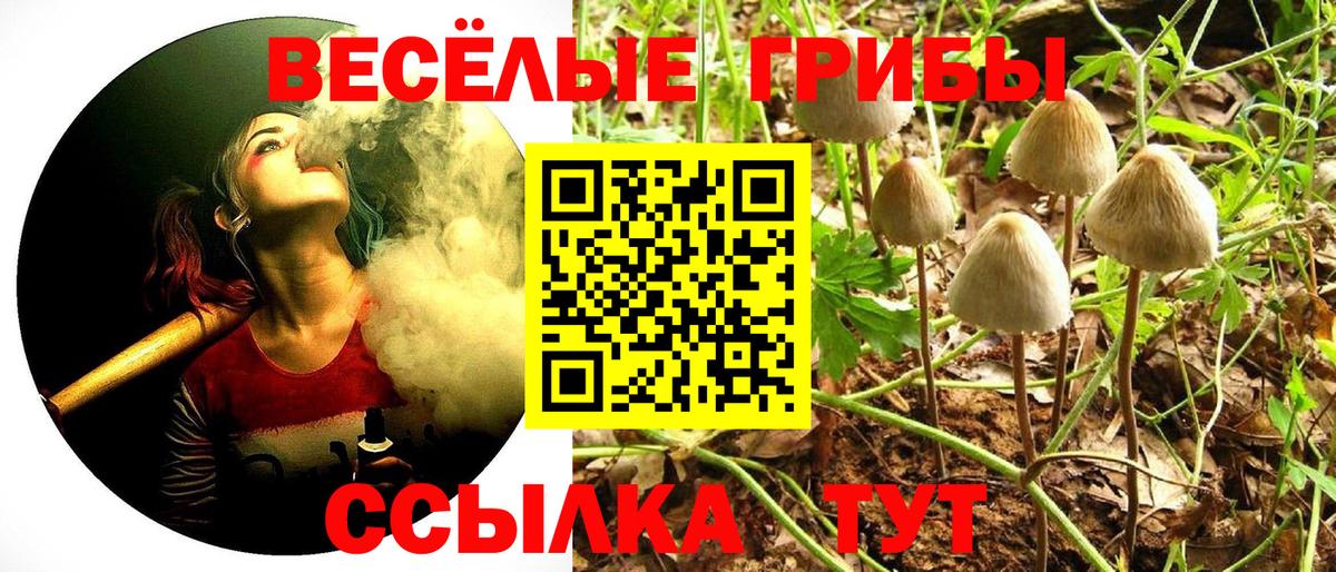 Галлюциногенные грибы мухоморы  Вход с VPN  Рузаевка 