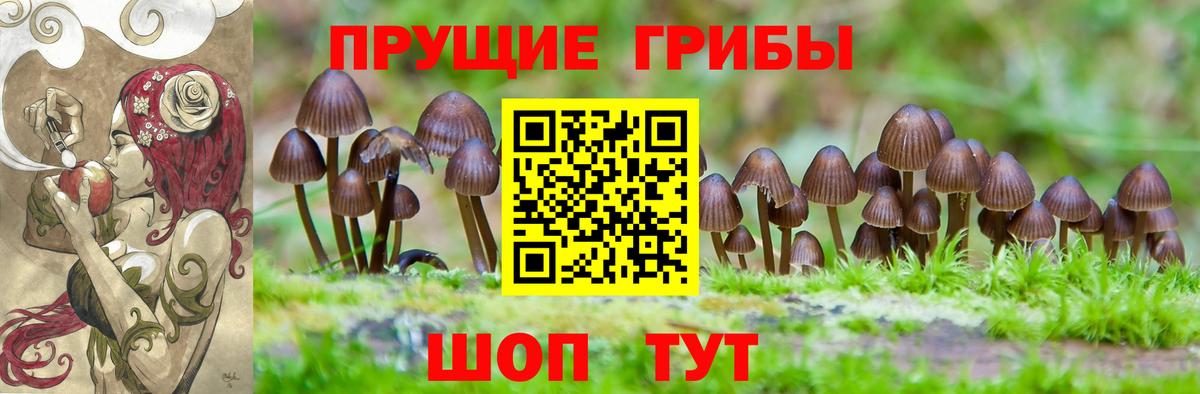 Галлюциногенные грибы прущие грибы Рузаевка